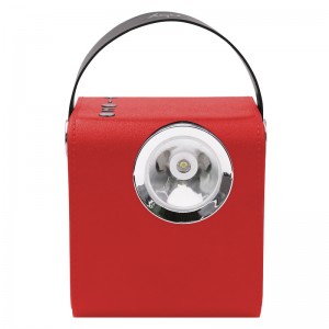 FB-BS5060 Difuzor Bluetooth din lemn cu lanternă LED