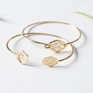 Begonia Brățară de flori deschise