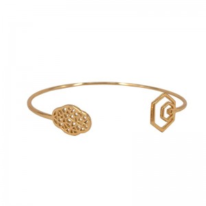 Begonia Brățară de flori deschise