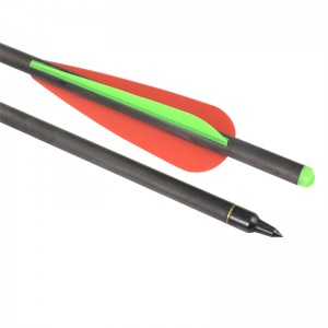 Elong Outdoor 110038-SLD 22inch Id7.62mm Bolt Bolt Crossbow Target Fotografiere