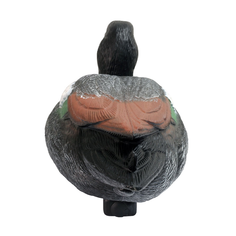 Dimensiunea vieții realiste Mallard Mallard Duck Ducy