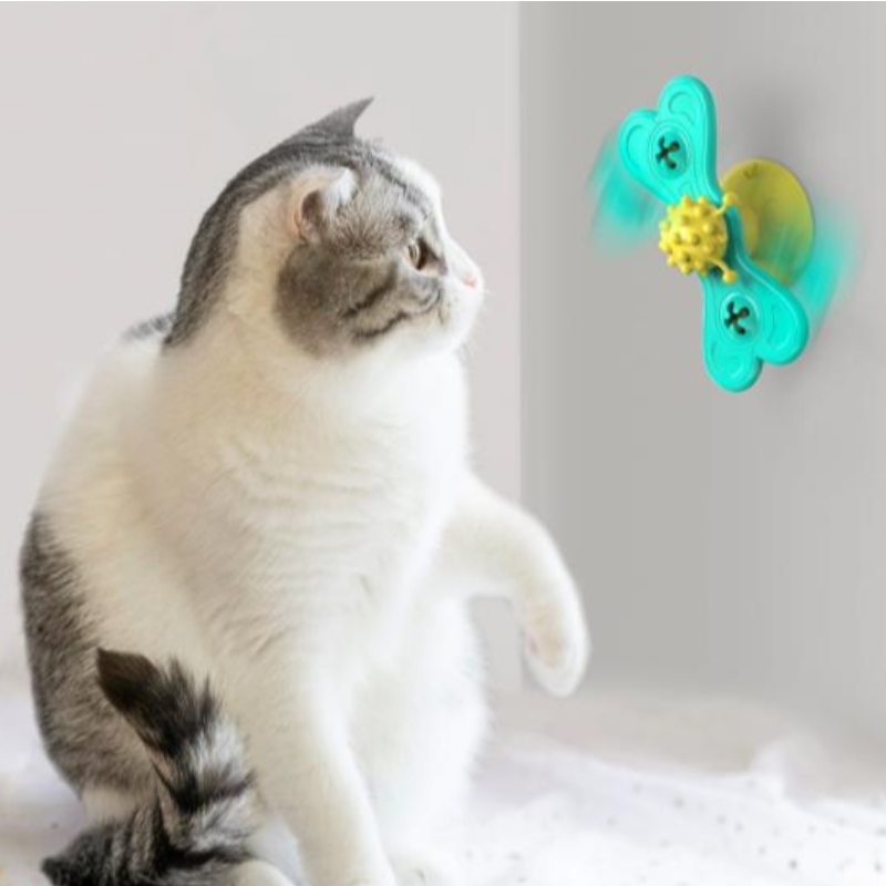 Pisica de vânt de vânt amuzant masaj rotativ pisici jucarii cu catnip bila dinti Curățarea produselor de companie