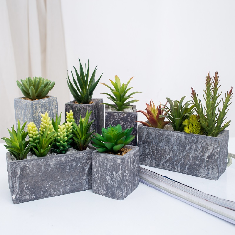 en-gros de plante suculente artificiale artificiale