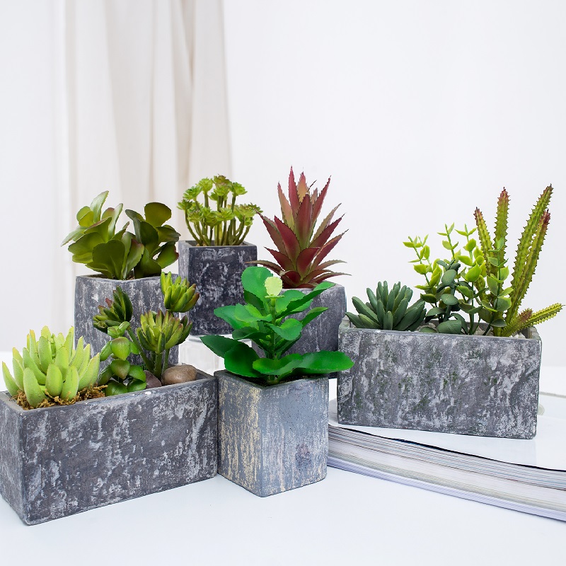 en-gros de plante suculente artificiale artificiale