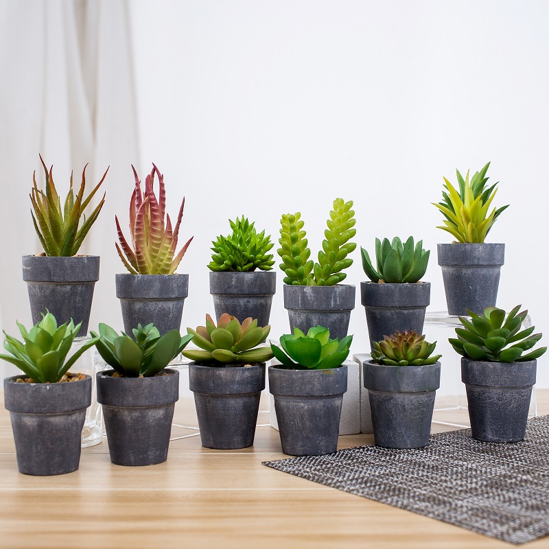 en-gros de plante suculente artificiale artificiale