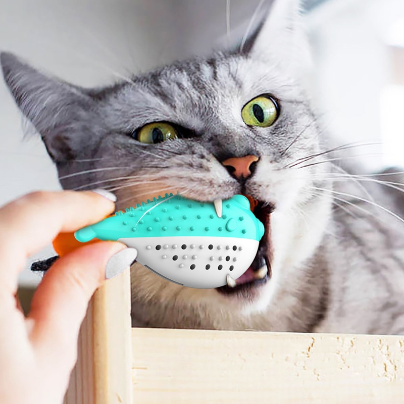 Furjoyz en-gros amuzant Pet Jucarii Periubine de dinți Interactive jucărie portabilă pisică inteligentă curat dinți cauciuc catnip pisici jucărie