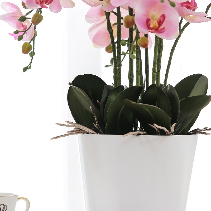 adevarat orhidee artificiale artificiale de vanzare