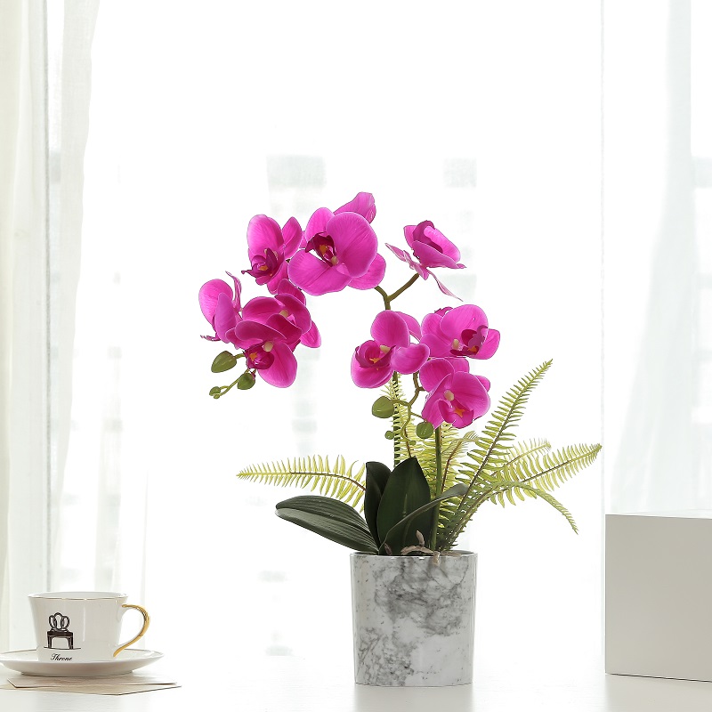 Hot care vinde orhidee artificiale artificiale cu înaltă calitate
