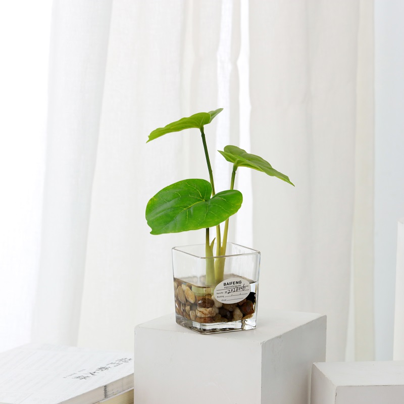 Planta artificială în stare de imitație cu obiecte de sticlă