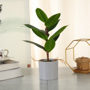 VÂNZAREA MAI BUNĂ PLATA AUTOGIALĂ REAL ÎN POT