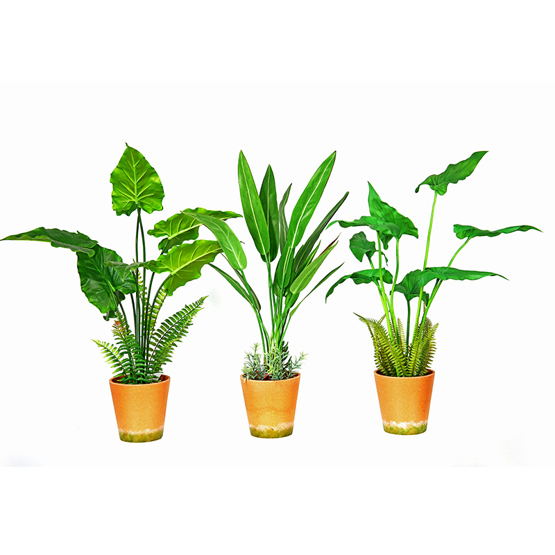 Hot Vânzare Factory Fabrica directă Verde Indoor în aer liber Acasă Decorează planta verde ghivece