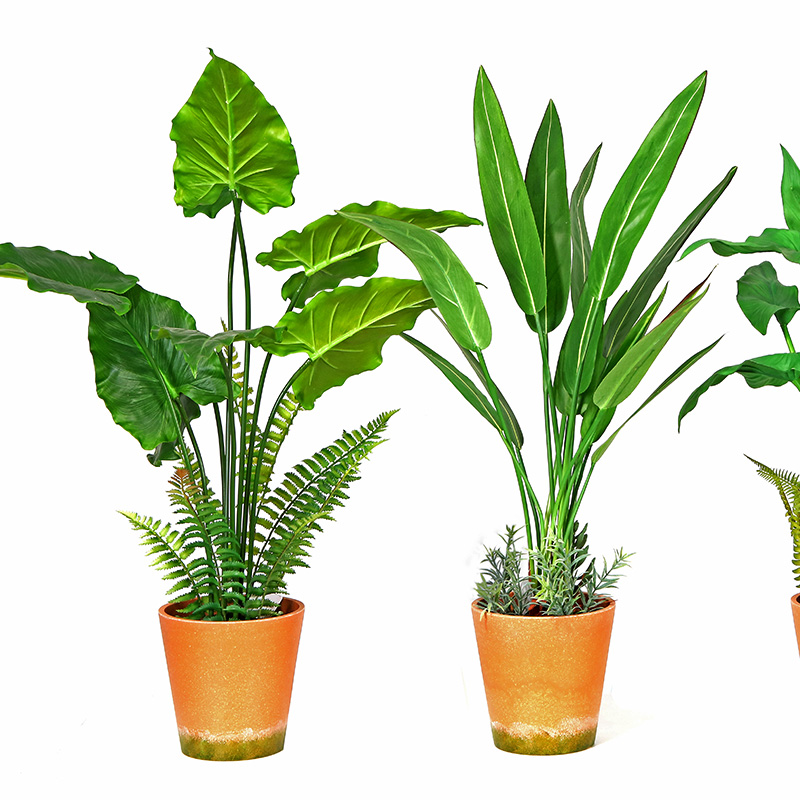 Hot Vânzare Factory Fabrica directă Verde Indoor în aer liber Acasă Decorează planta verde ghivece