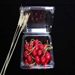 Ambalaj alimentar cu clapetă