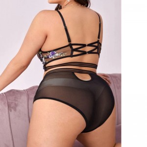 JF EyeLash Lace Lingerie Femei Lance Lace Trim pentru lenjerie en-gros personalizat You design Lace două piese Set femei Lenjerie sexy