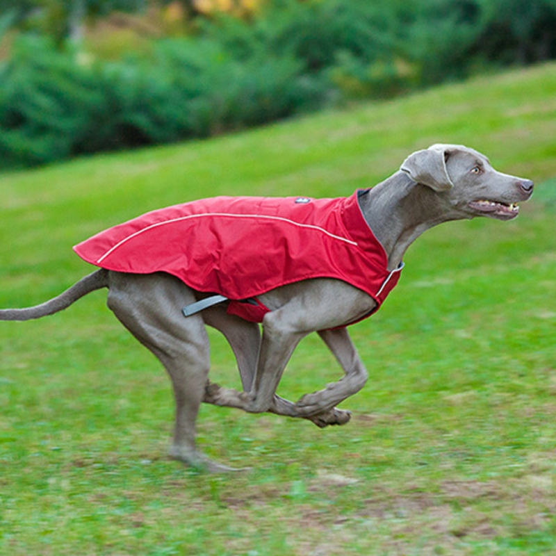 Stilul clasic Reflectoring Coac de câine impermeabil reglabil de iarnă Jachetă de câine reversibile ușoare
