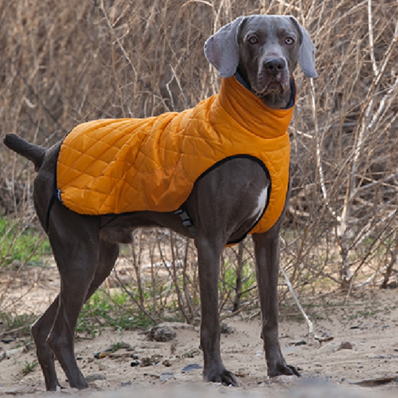 Amazon Hot Vanzare Noi animale de companie haine de casă de casă de toamnă și de iarnă înghețată elastic pulover de companie pulover