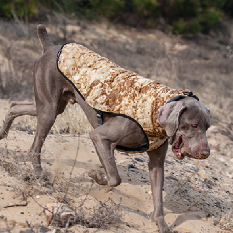 Amazon Hot Vanzare Noi animale de companie haine de casă de casă de toamnă și de iarnă înghețată elastic pulover de companie pulover