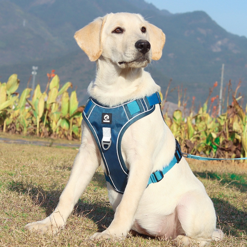 PET Furnizor de câine Harness Vest gât reglabil fără tragere câine harness tactical serviciu militar vesta