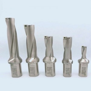 3d u foraj insert spmg