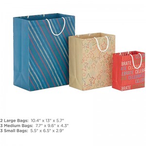 Hallmark Recyclable Bag Sortiment (8 pungi: 3 Small 6 \\\\ \\\