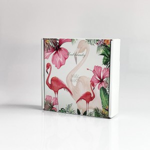 Spot Color Aircraft Box Inch Cămașă Îmbrăcăminte cu carton Tricou Cută de ambalare cutie de aeronave ondulate cutii de coloane imprimare color