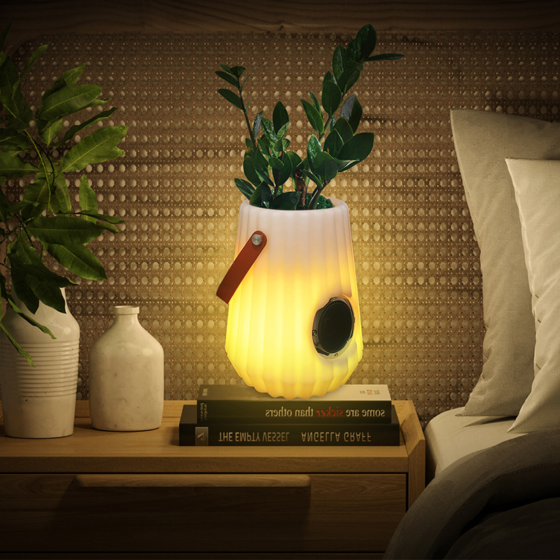 LED -uri cu flori luminate în interior/outdoor creativă lampa de masă inteligentă pentru living, dormitor, decorare de grădină, lumini cu găleată de gheață slabă cu difuzor Bluetooth