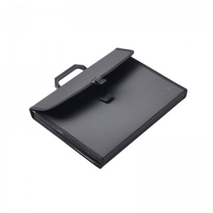 Extinderea folderului A4 Dimensiunea literelor PP Plastic 13 Buzunare Organizator Multi Pocket Fișier extensibil