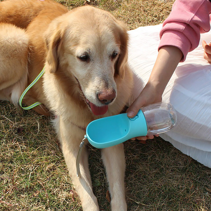 Food Grade Plastic Scurgerea Plasticului Portabil Puppy Distribuitor de apă Sticlă de apă pentru câini cu alimentare pentru animale de companie pentru animale de companie călătorii în exterior, drumeții