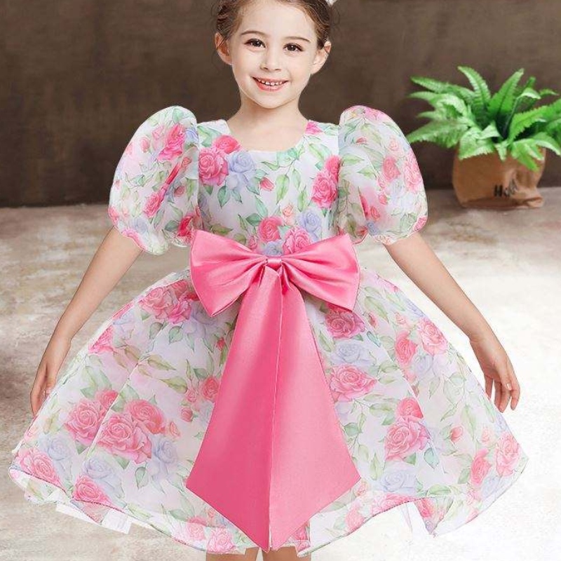 Baige New Fashion Party Party Princess Coddler pentru fete pentru fete haine pentru copii Rochii fete pentru fete