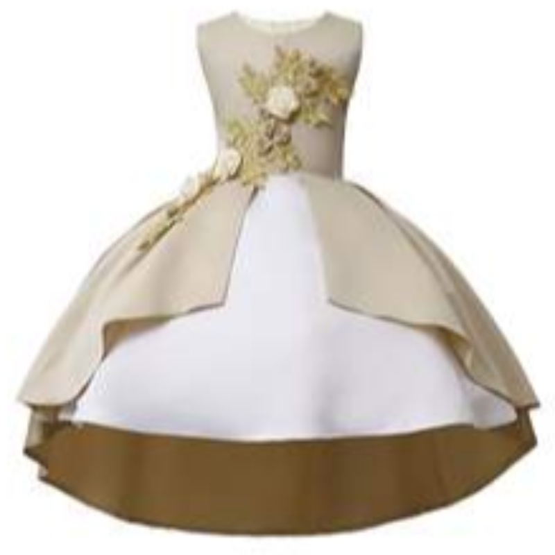 Îmbrăcăminte pentru copii Vintage Party Brodered Purtă rochii de fetițe cu flori \\
