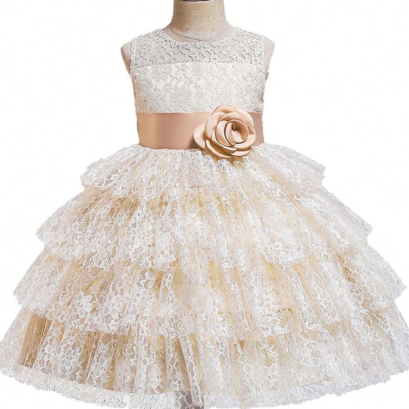 Baige Summer Fashion Dantelă Tulled Minunat Big Big Bow Birthday Party Ball Rochii cu bile de flori Rochii pentru fete
