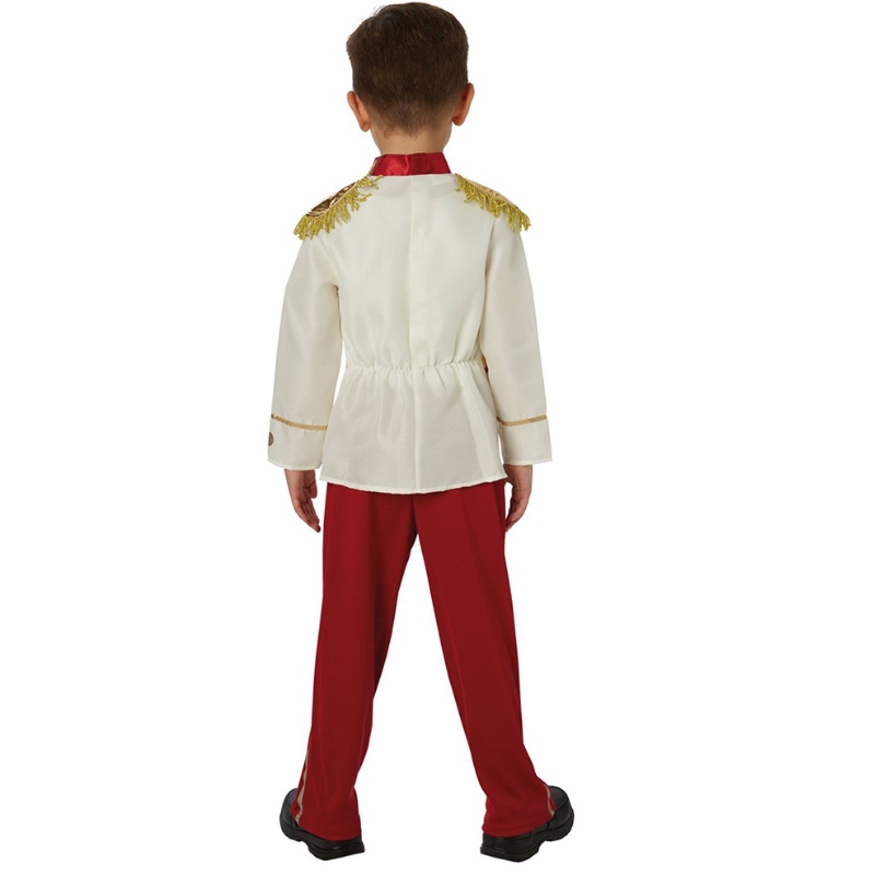 Costum fermecător Prince Prince Dress Up Medieval Royal Prince Costum pentru copii pentru copii pentru copii cu vârste cuprinse între 3-14 ani