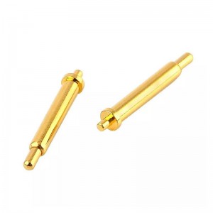 Pinul încărcat cu arc