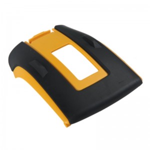 Mucegai de formare în două culori