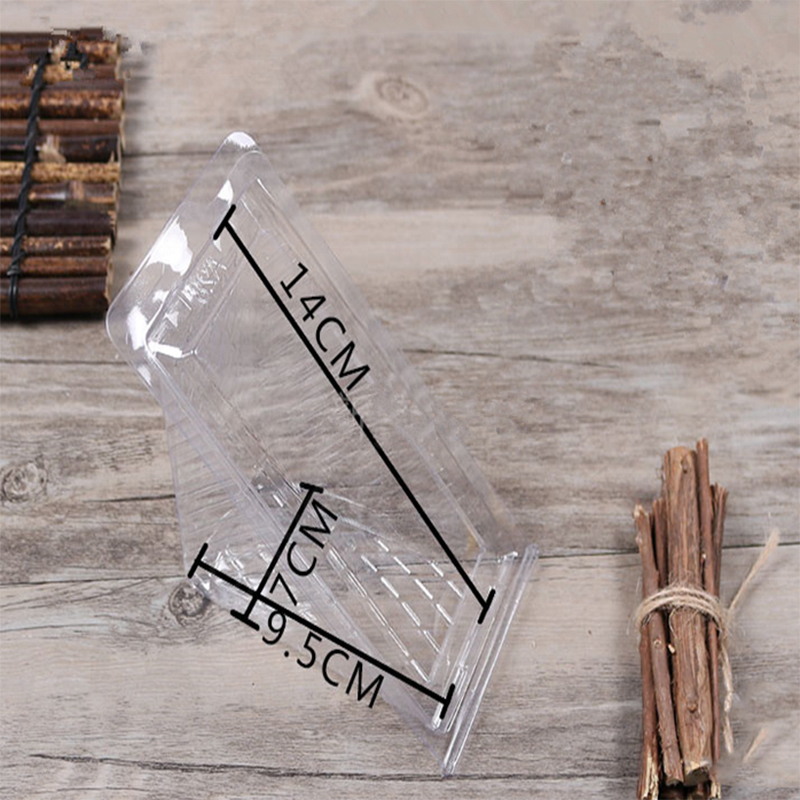 Clear triunghi box ambalare cu ridicata cu ridicata din plastic etichetă personalizată de unică folosință de unică folosință sandwich și tort animal de logo animal de companie, PLA