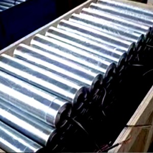 Personalizat DC fără perie fără perie Electric Acoperiți 24V 48VPLC Control cu ​​pinion dublu Row Power Transportor BEAR CONVESTE