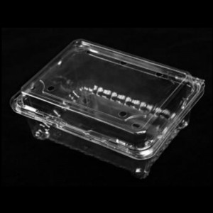 Cutie de fructe cu capac 175*137*75 mm HGF-500M