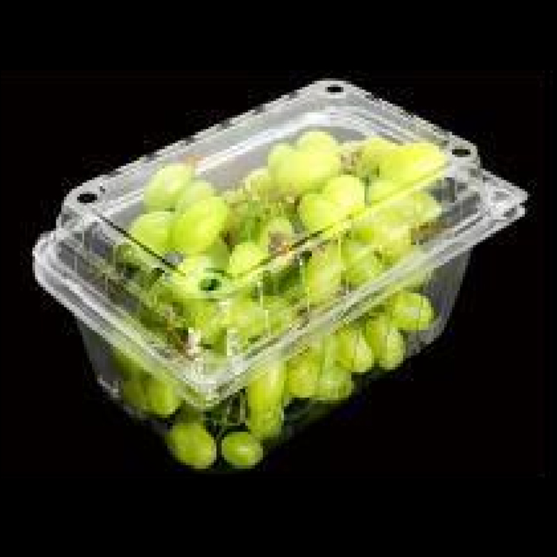 Cutie de fructe cu capac 185*120*85 mm HGF-500C