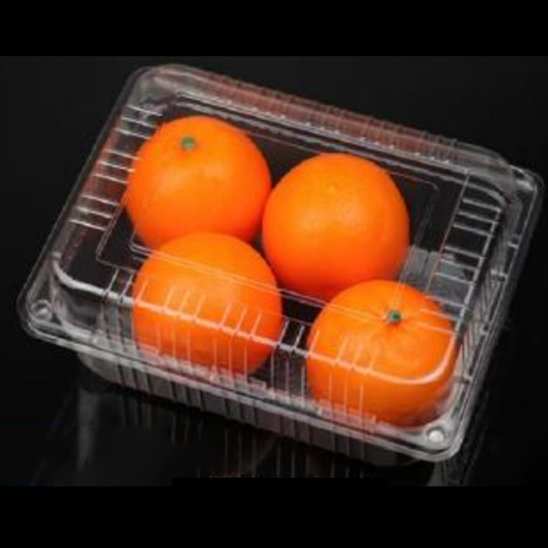 Cutie de fructe cu capac 235*170*90 mm HGF-54C