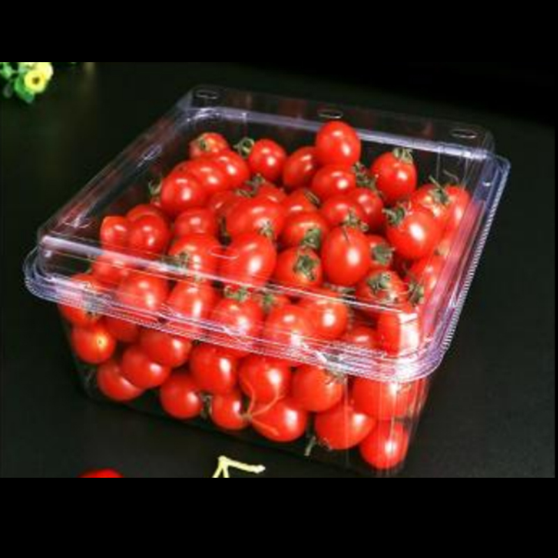 Cutie de fructe cu capac 175*170*75 mm HGF-850G