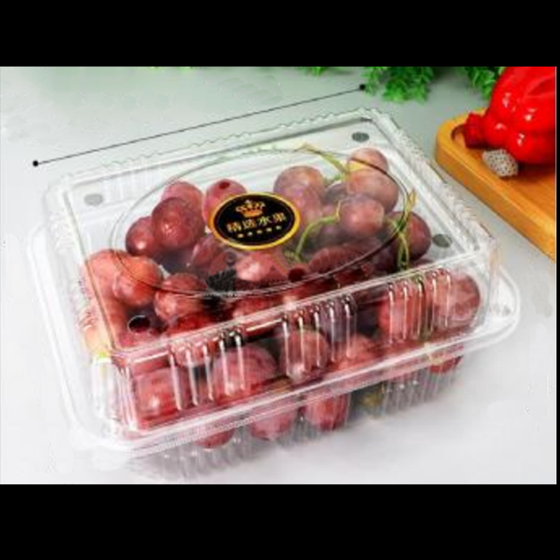 Cutie de fructe cu capac 225*170*90 mm HGF-1000H