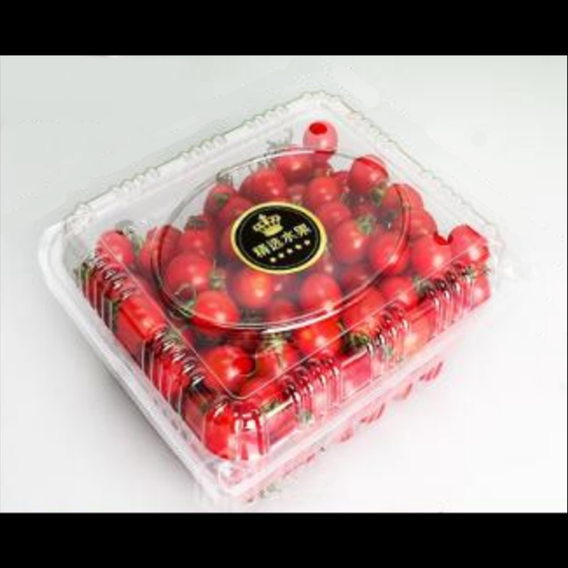 Cutie de fructe cu capac 200*170*95 mm HGF-750H