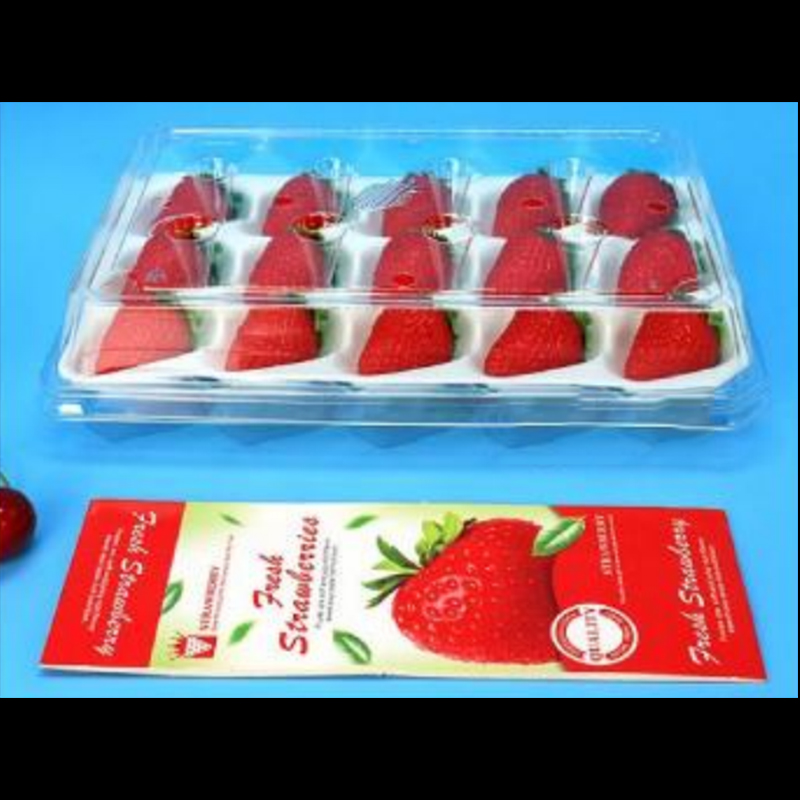 Strawberry Box (15 căpșuni) 225*120*40 mm cm-15