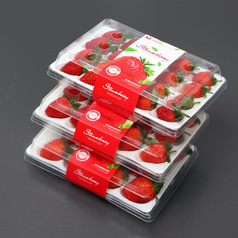 Strawberry Box (20 căpșuni) 225*120*40 mm cm-20