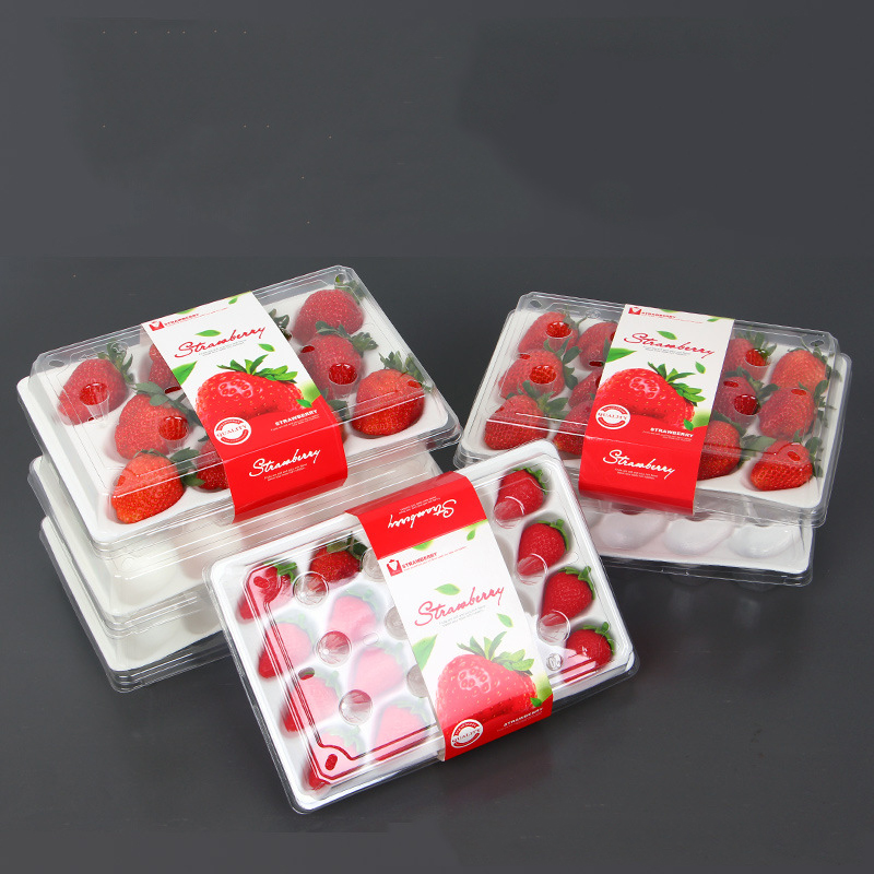 Strawberry Box (20 căpșuni) 225*120*40 mm cm-20