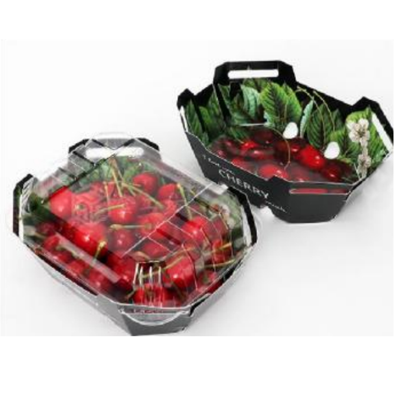 Cutie de fructe HGF-T250 250 g