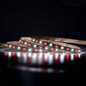 5050 60leds/m rgbw bandă LED