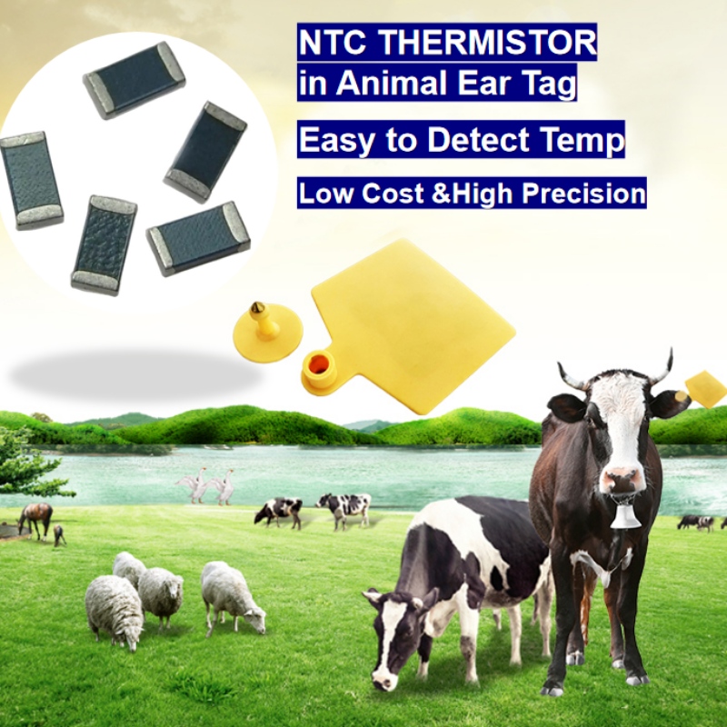 Senzor de temperatură termistor NTC în etichetă de urechi animale de reproducere inteligentă