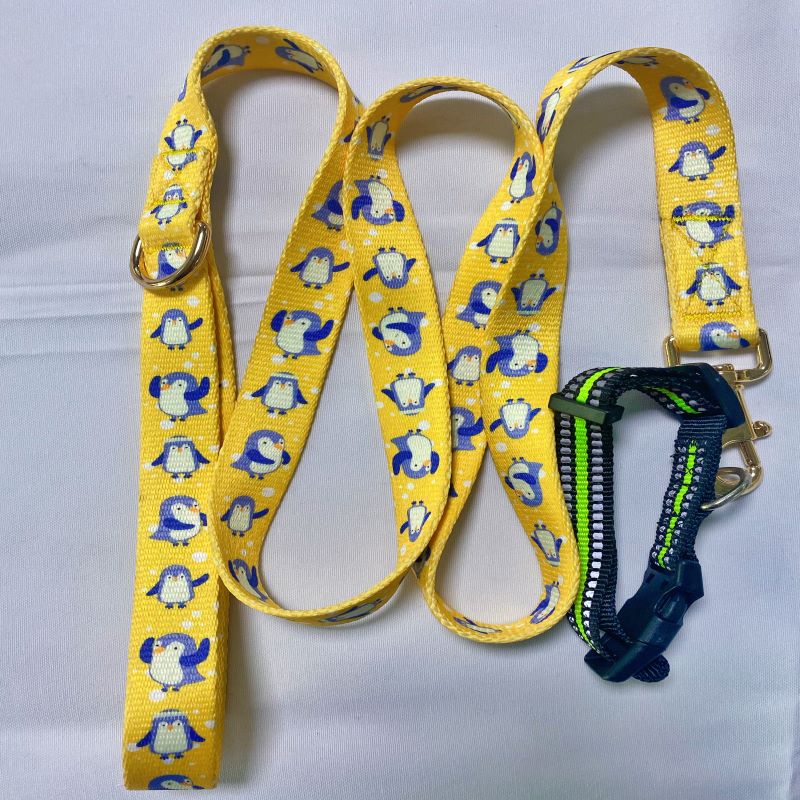 Accesorii pentru animale