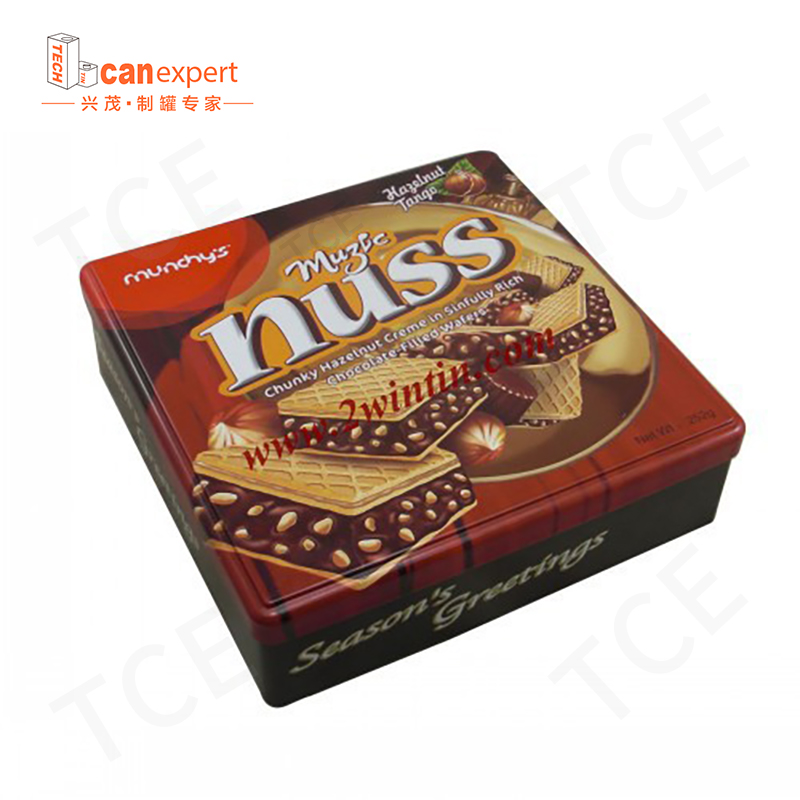 TCE- produsenoi metalice pătrate pot cookie biscuiți staniu de 0,28 mm
